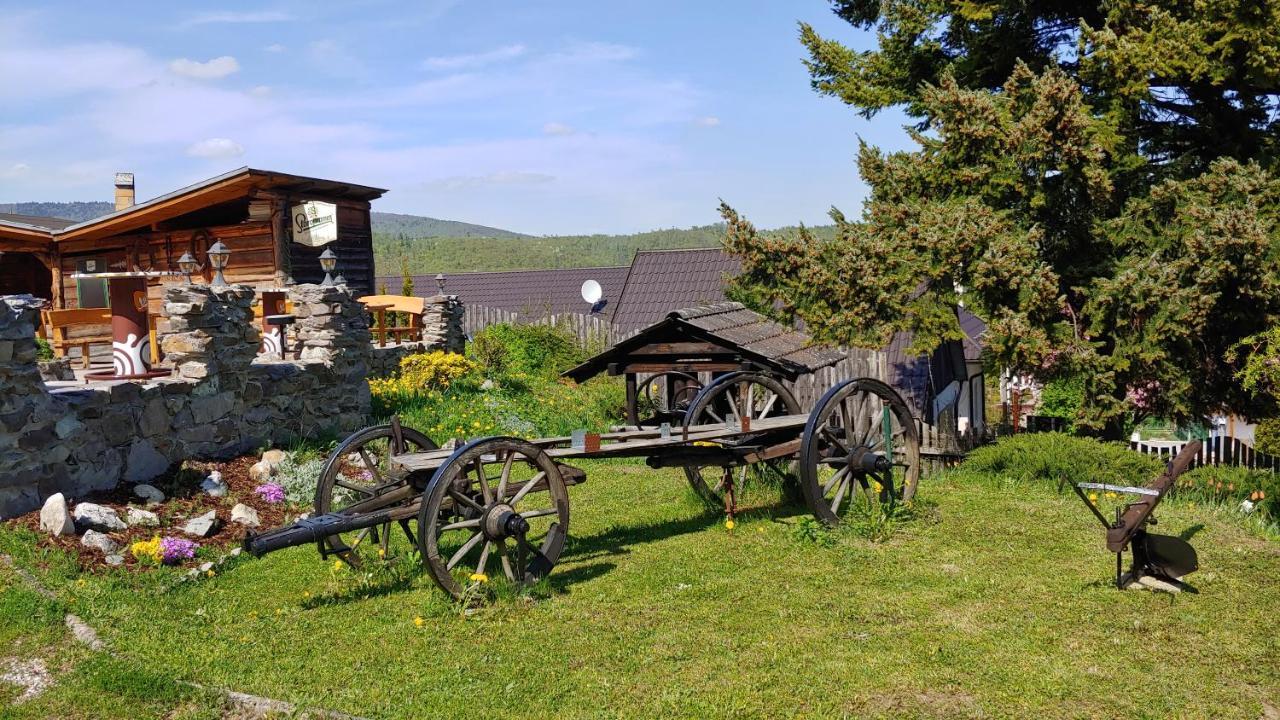 Pod Hradom Restaurant & Pension Топольчани Экстерьер фото