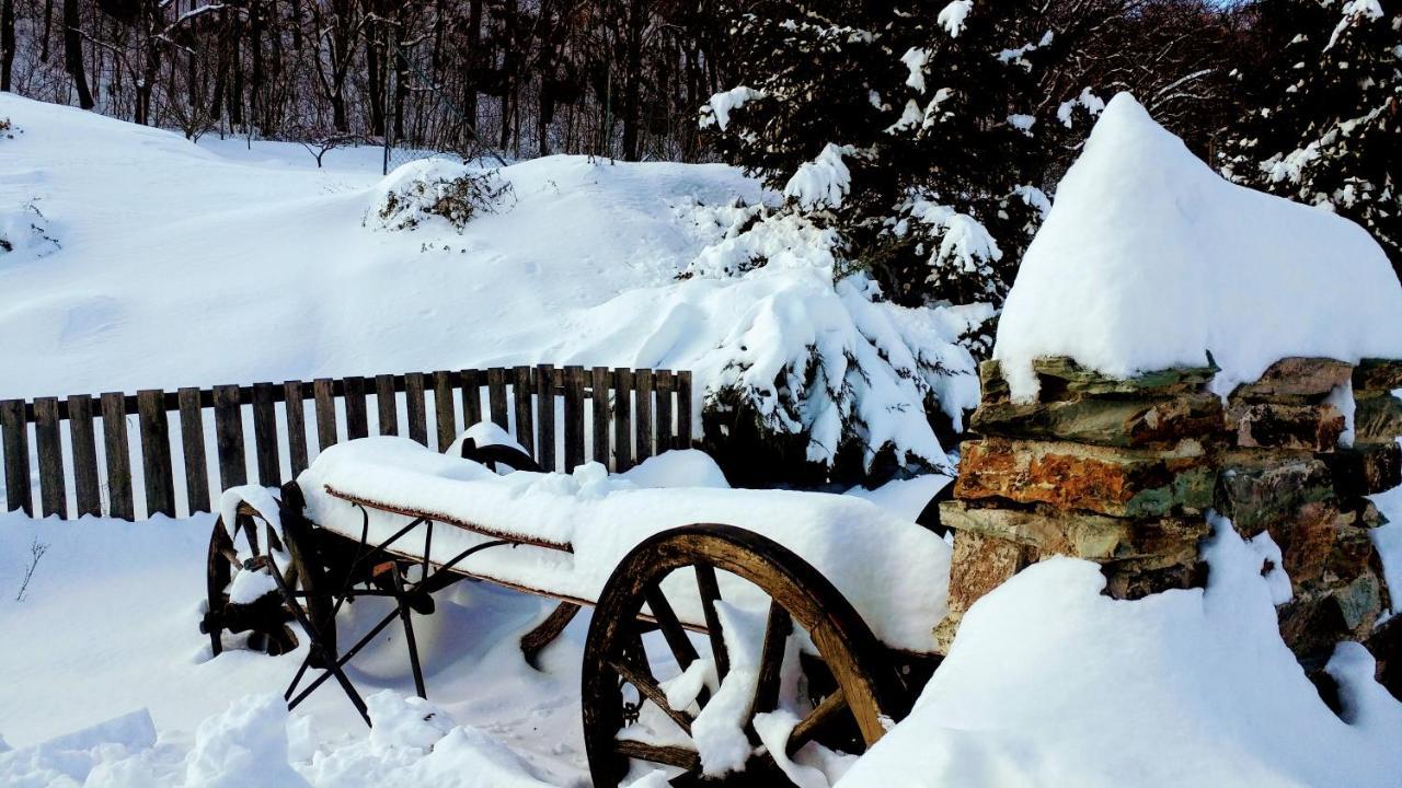 Pod Hradom Restaurant & Pension Топольчани Экстерьер фото